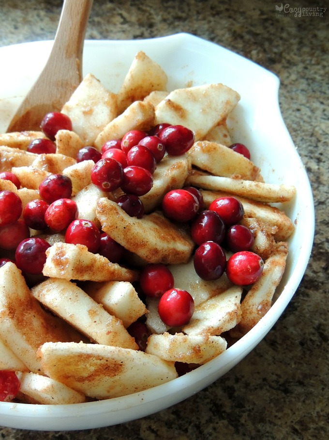 Mixing Apple & Cranberries with Brown Sugar and Spices