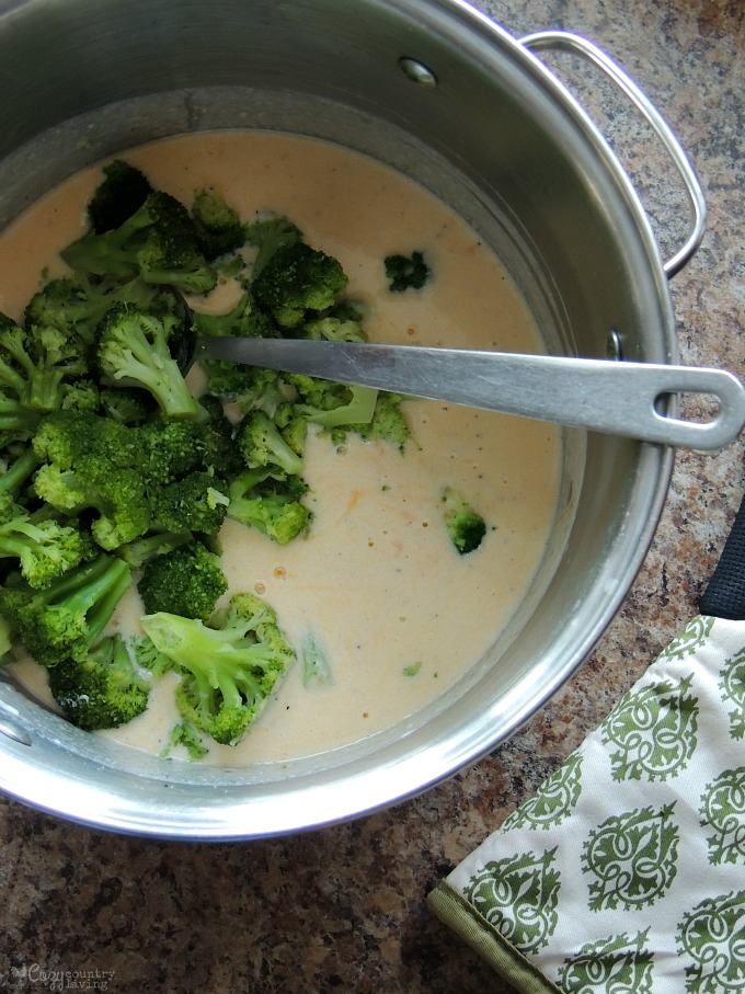 Mixing Broccoli with Cheddar Cheese Sauce