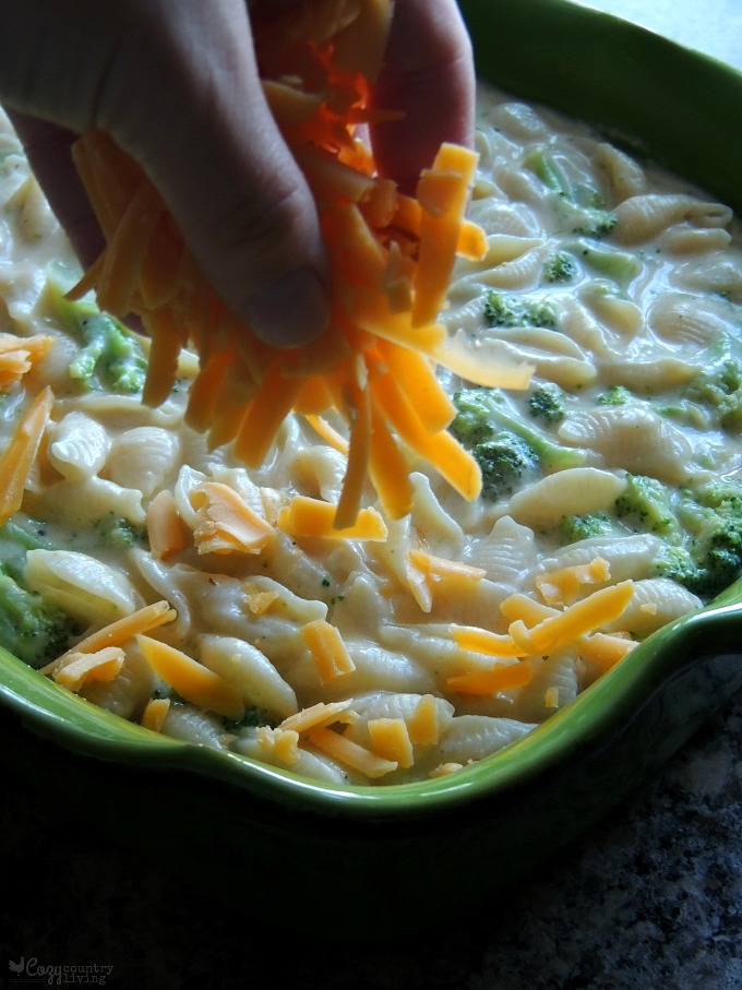 More Cheese for these Creamy Cheddar & Broccoli Shells