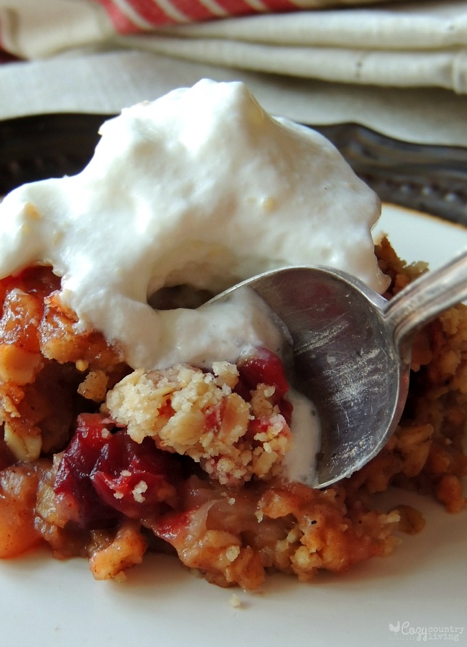 Yum! Apple & Cranberry Oat Crisp for Dessert