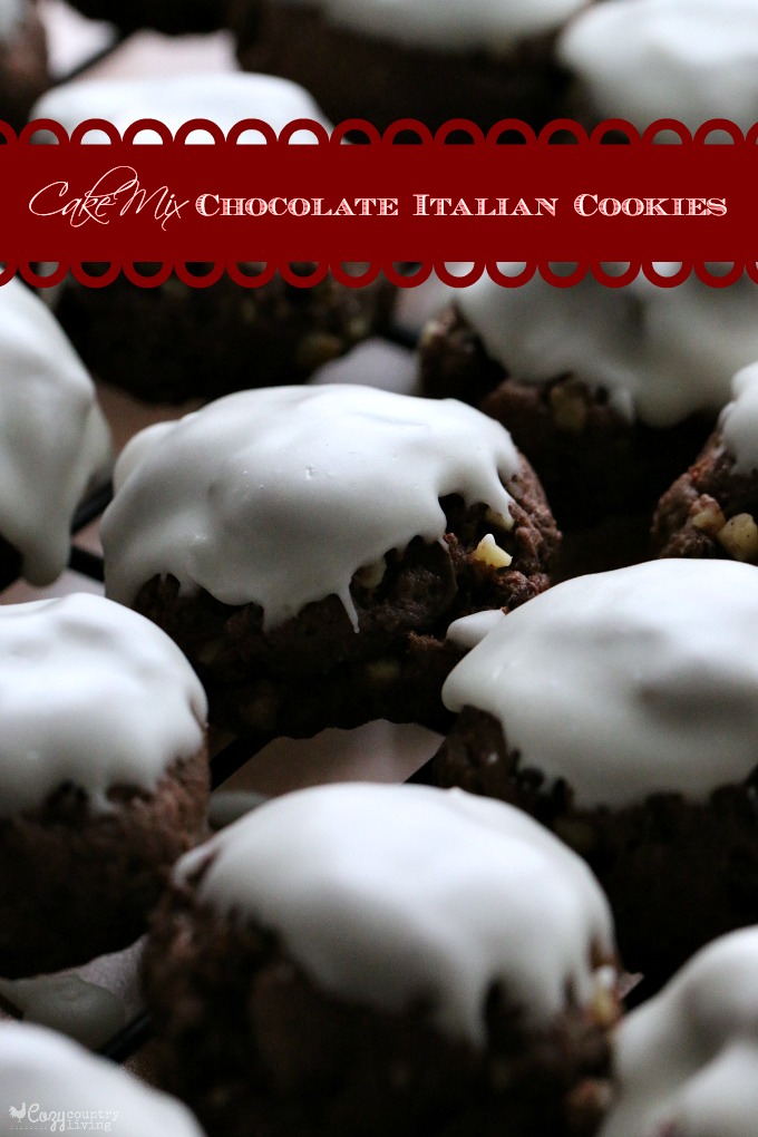Cake Mix Chocolate Italian Cookies for Christmas
