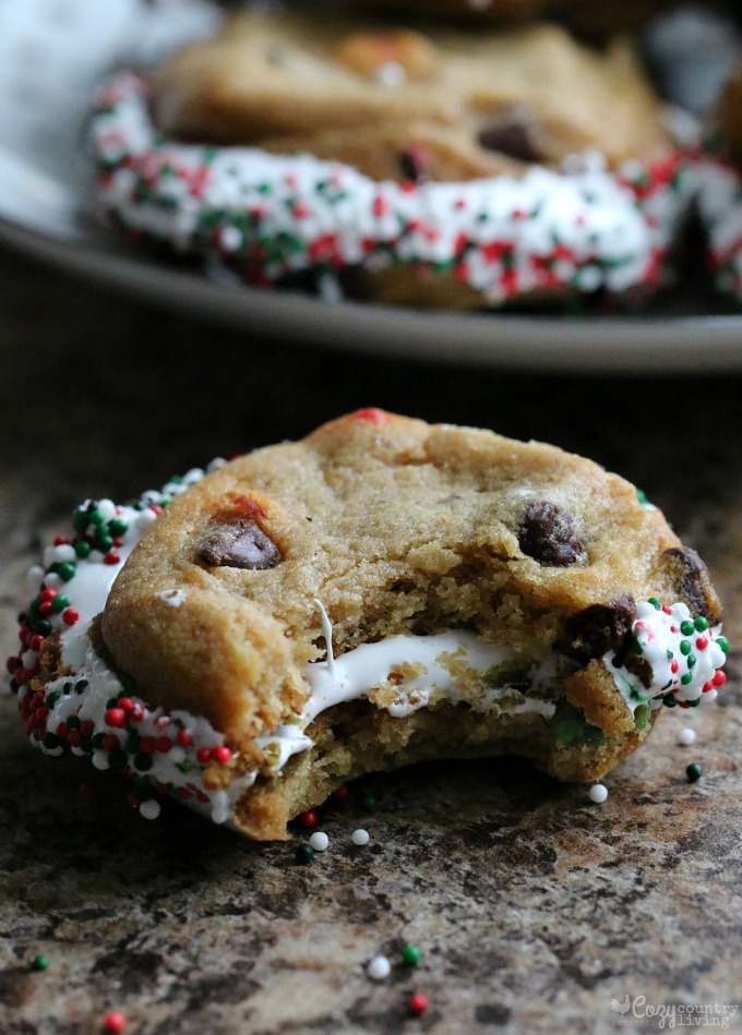 Family Fun Holiday Chocolate Chip & Marshmallow Cookies