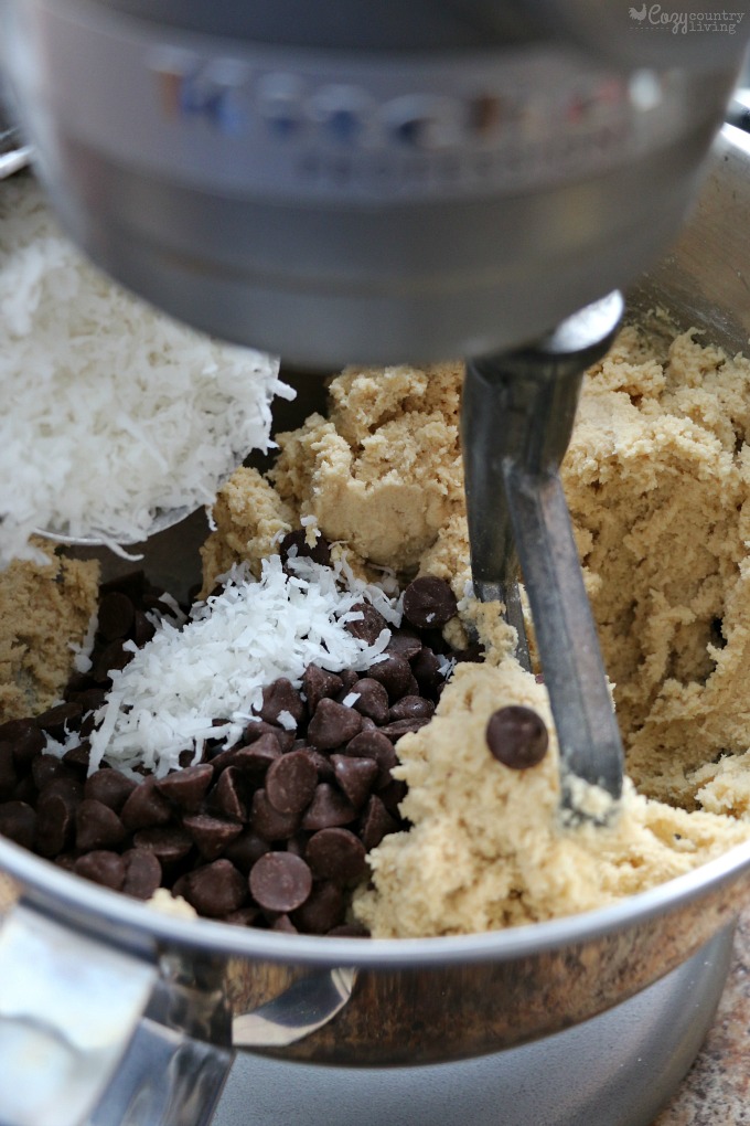 Chocolate Chip & Coconut Cookie Dough