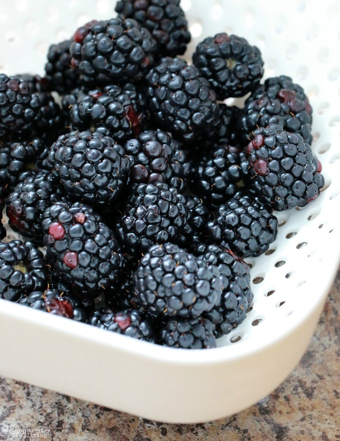 Fresh Blackberries for Baked Oatmeal Recipe