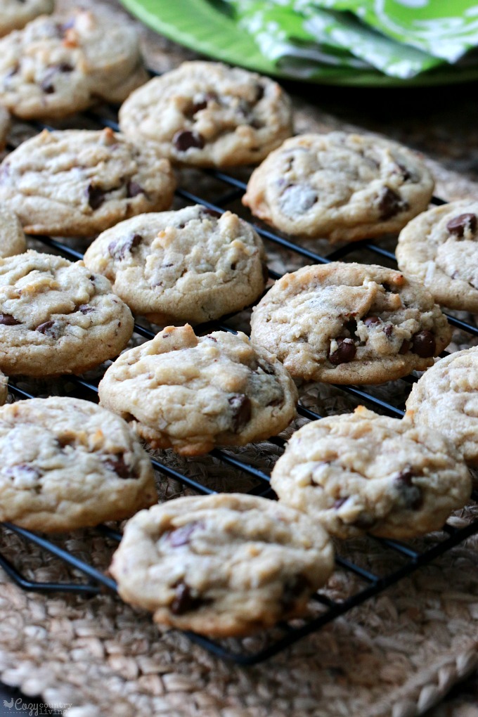 Freshly Baked Chocolate Chip & Coconut Cookies