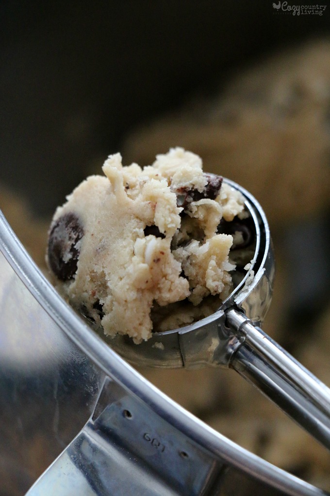 Perfect Portioned Chocolate Chip & Coconut Cookies with Cookie Scoop
