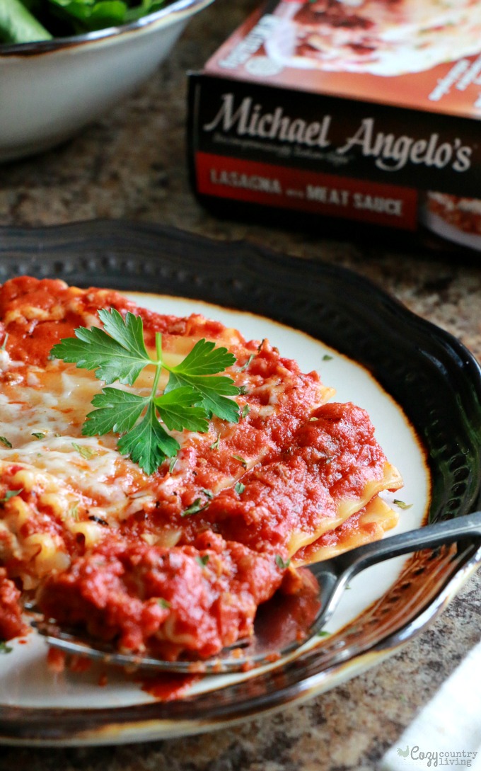 Michael Angelo's Homemade Frozen Meals Lasagna