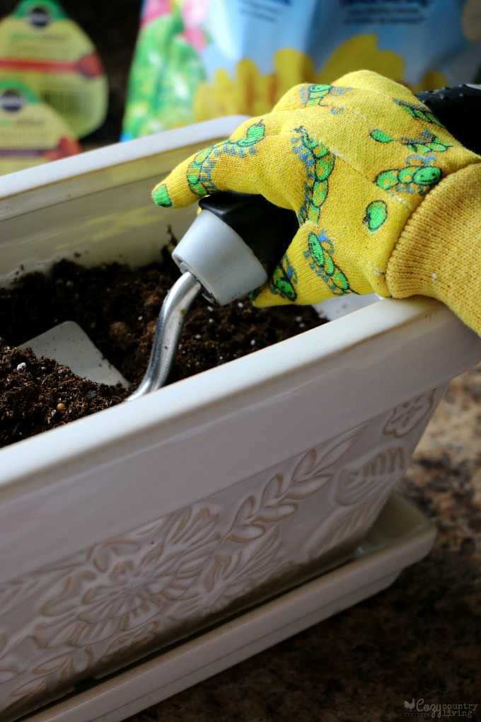 Adding Potting Mix to the Ceramic Planters for Seeds