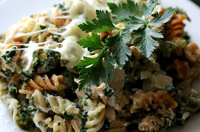 Cheesy Chicken & Tri Colored Rotini Bake for an Easy Weeknight Dinner