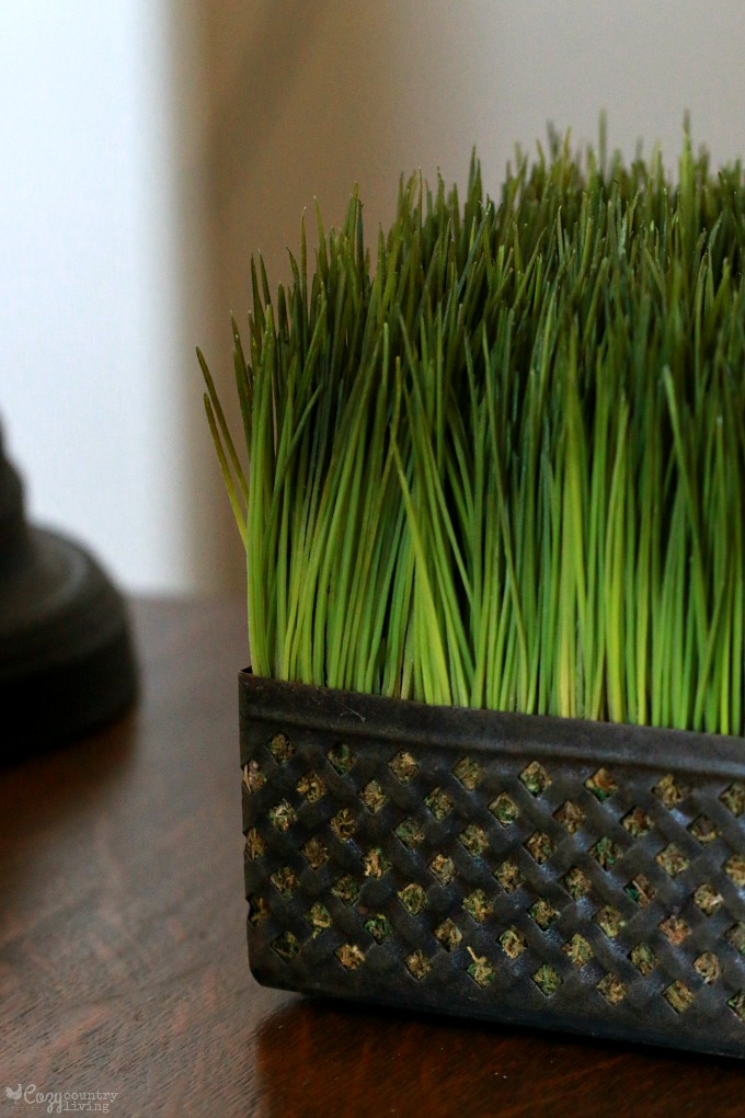 Faux Grass Brightens Up Home Office