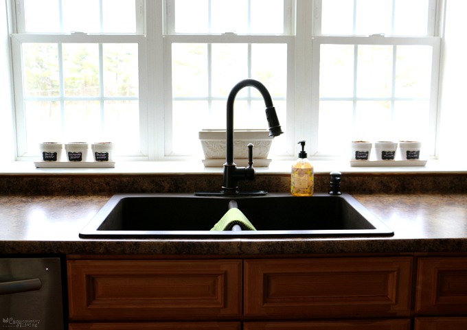 Kitchen Sink with Planters on Window Sill