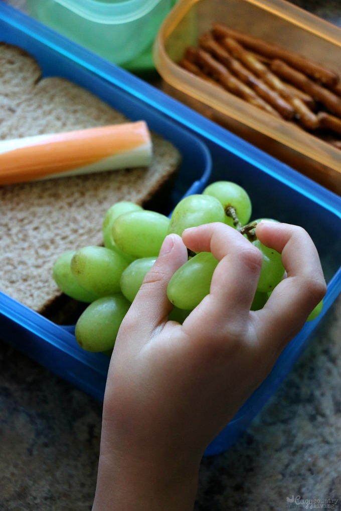 Packing Fresh Fruit In Your Lunchbox