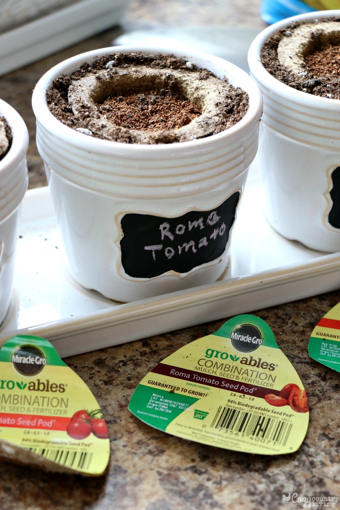 Starting Tomatoes Indoors with Miracle-Gro Gro-ables