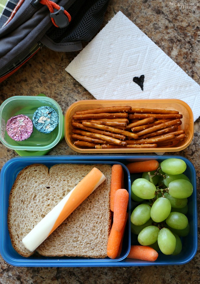 Teach Your Children How To Pack A Well Balanced Lunch