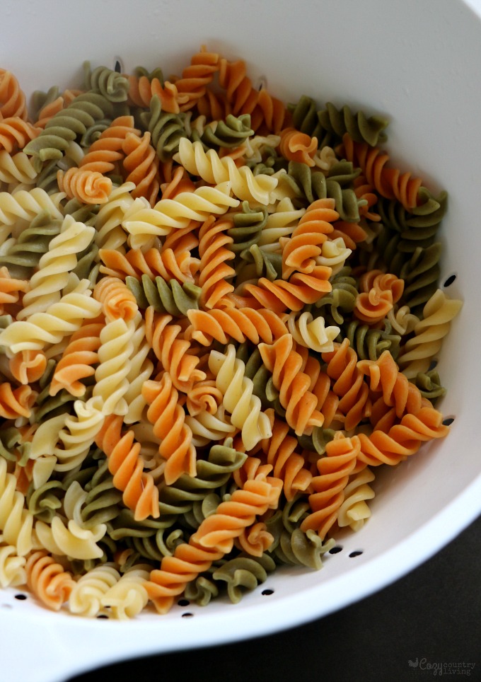 Cheesy Chicken & Tri Colored Rotini Bake - Cozy Country Living