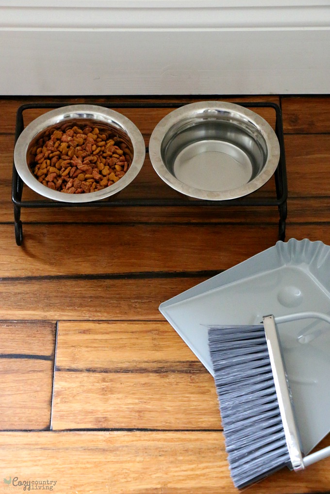 Vacuum & Sweep Around Pet Food Areas