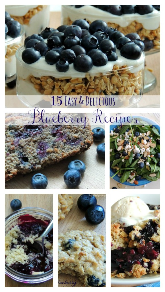 15 Easy & Delicious Blueberry Recipes - Cozy Country Living