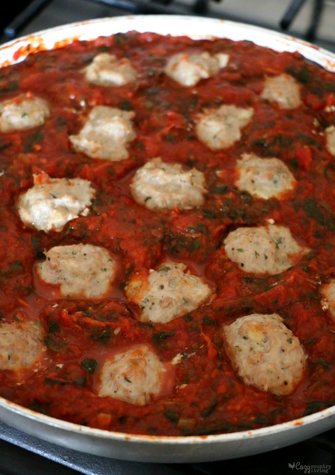 Add Turkey Meatballs to Spinach Marinara Sauce
