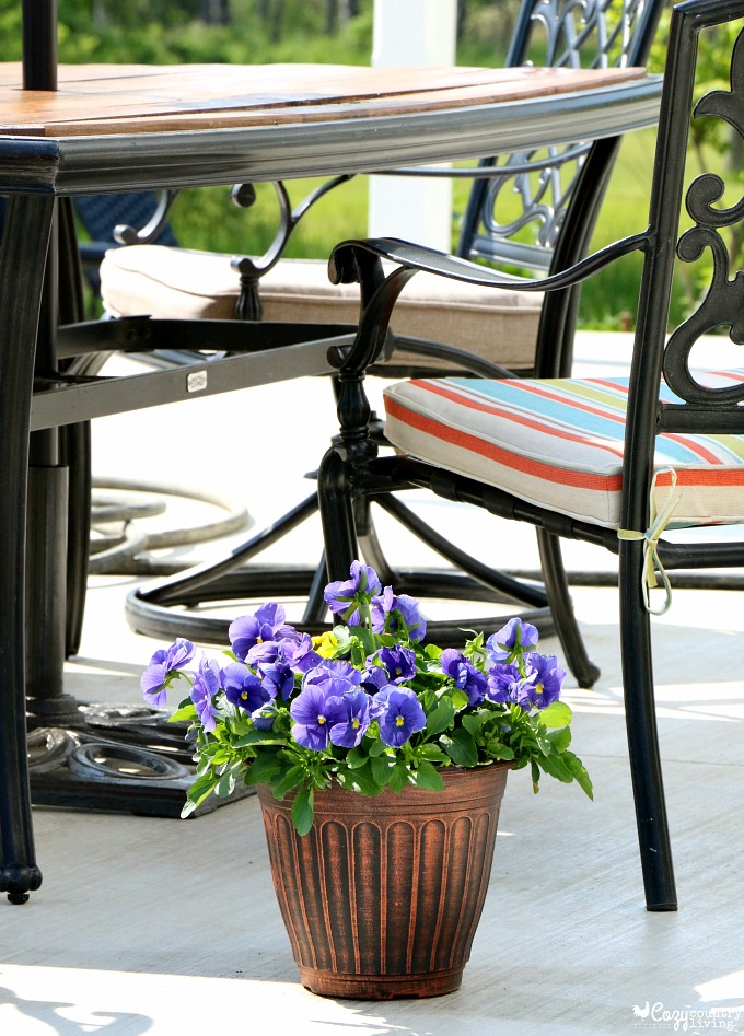 Flowers in Pots for Instant Patio Color