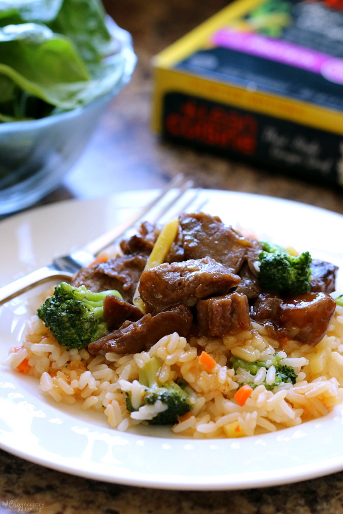 Delicious Lean Cuisine Thai Style Ginger Beef Meal for Lunch or Dinner
