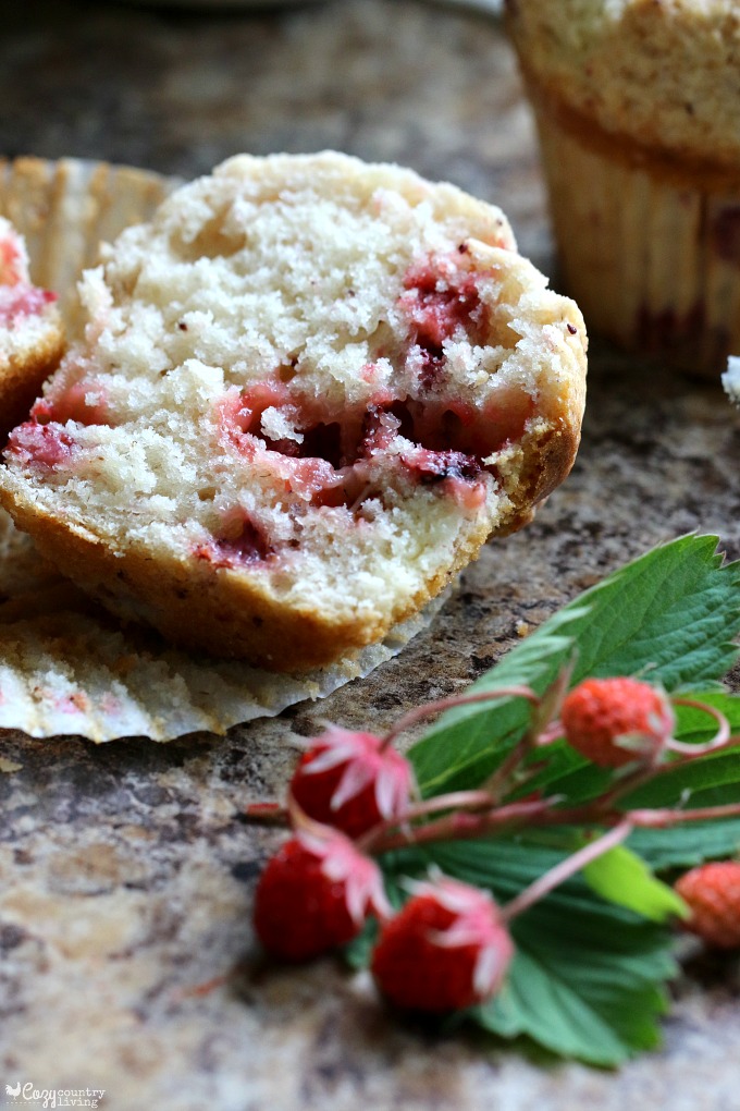 Moist & Delicious Wild Strawberry Muffins for Breakfast