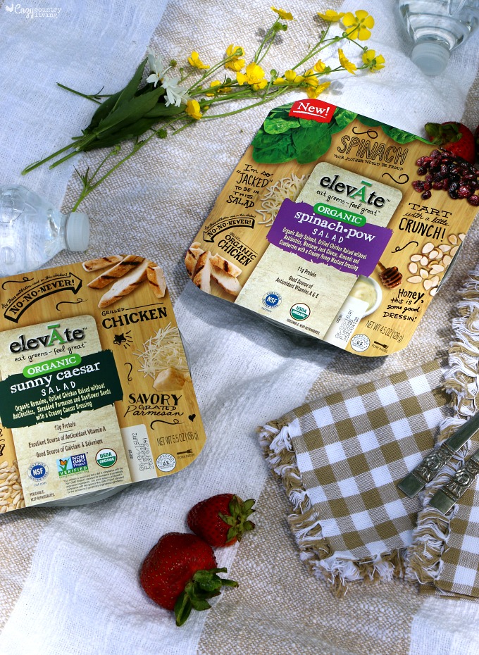 elevAte Organic Salads Convenient for Lunches & Picnics