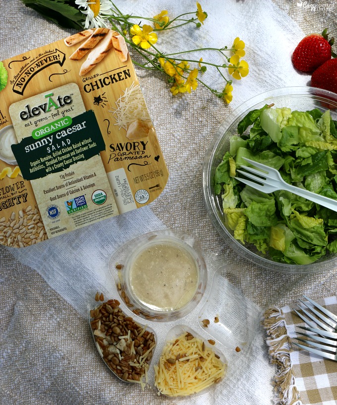 elevAte Organic Sunny Caesar Salad
