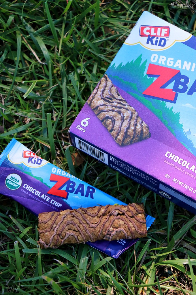 Clif Kid Organic ZBars are the Perfect Snack