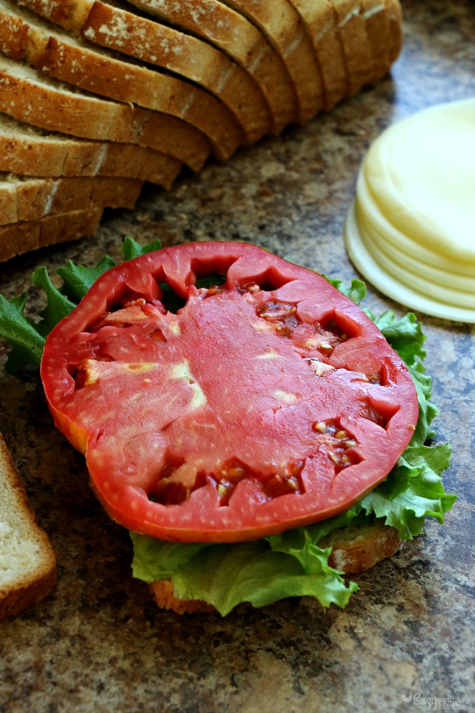 Fresh Garden Tomato Slice for Italian Ham & Veggie Sandwiches