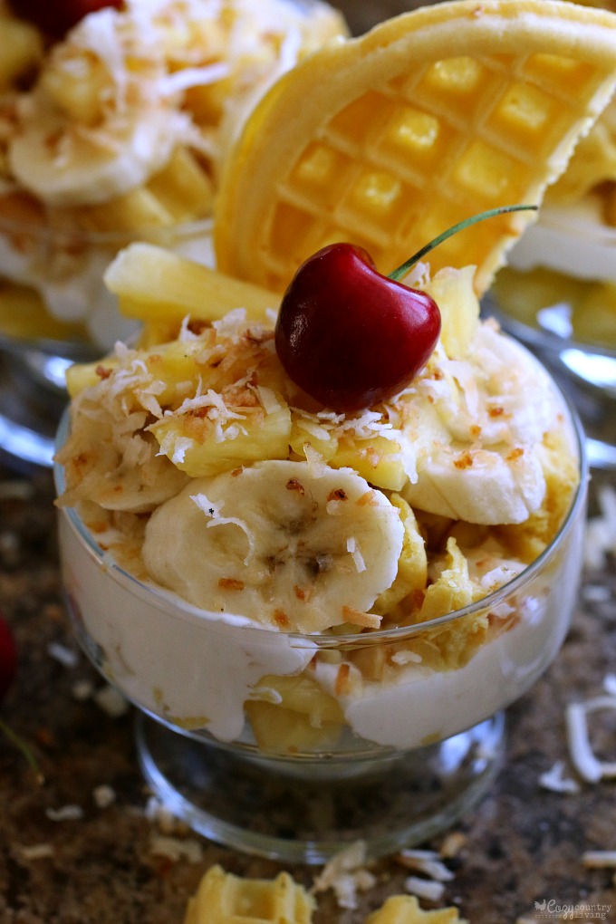 Waffle and Yogurt Parfait – Bran Appetit