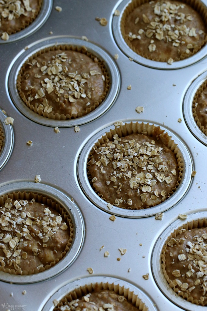 Top the Apple & Cinnamon Muffins with Oats