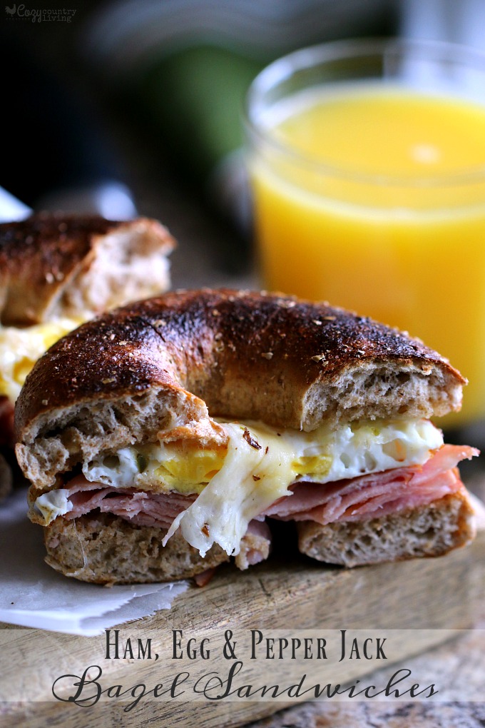 Egg & Bagel Sandwich 