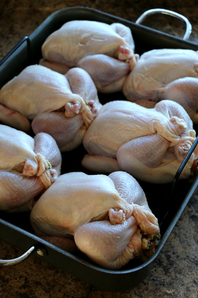 Tyson® All Natural Premium Cornish Hens Stuffed & Ready for the Oven