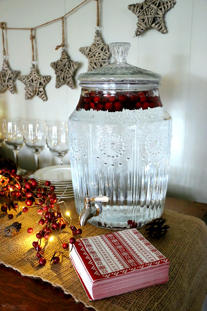 Simple & Festive Cranberry Water for Holiday Party